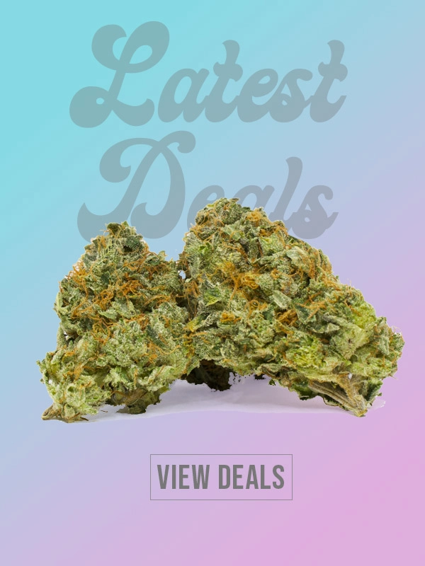 image of the best online cannabis deals for cheap weed