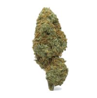 gods-green-crack-marijuana-online-buy.jpg